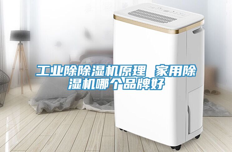 工业除除湿机原理 家用除湿机哪个品牌好