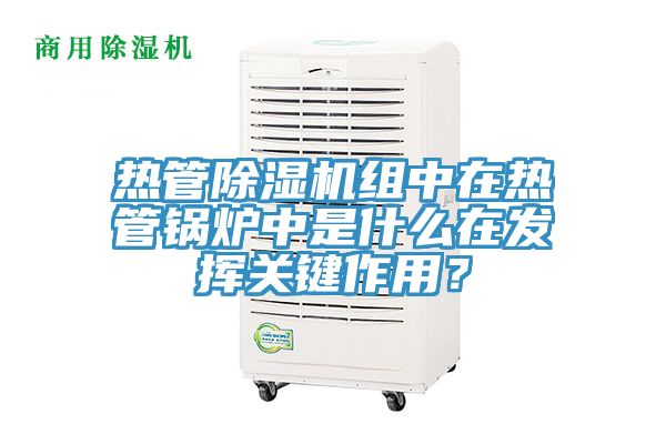 热管除湿机组中在热管锅炉中是什么在发挥关键作用？