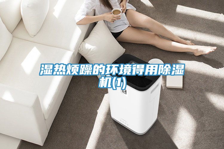 湿热烦躁的环境得用除湿机(1)