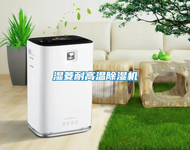湿菱耐高温除湿机