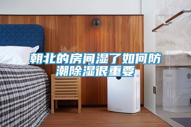 朝北的房间湿了如何防潮除湿很重要