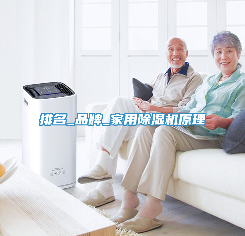 排名_品牌_家用除湿机原理