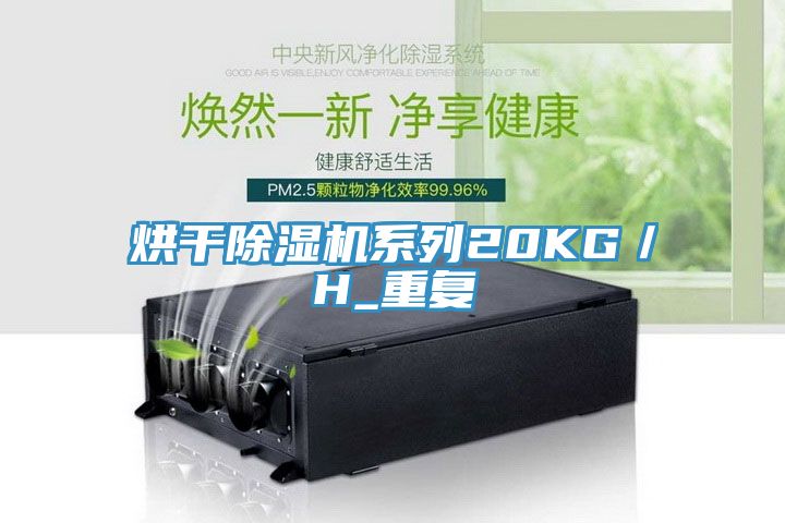 烘干除湿机系列20KG／H_重复