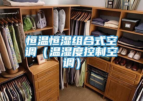 恒温恒湿组合式空调（温湿度控制空调）