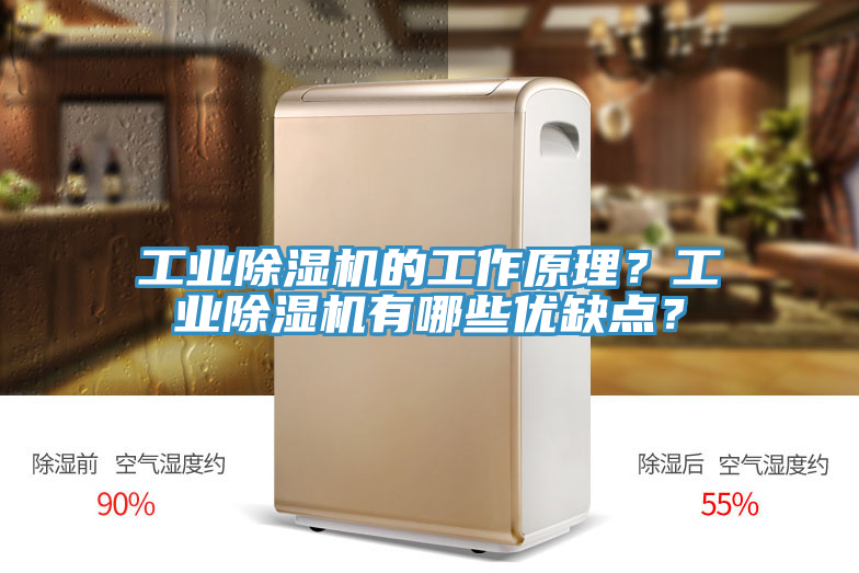 工业除湿机的工作原理？工业除湿机有哪些优缺点？