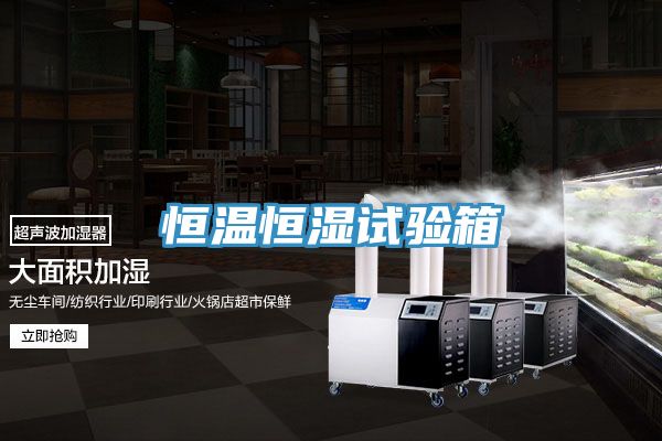 恒温恒湿试验箱