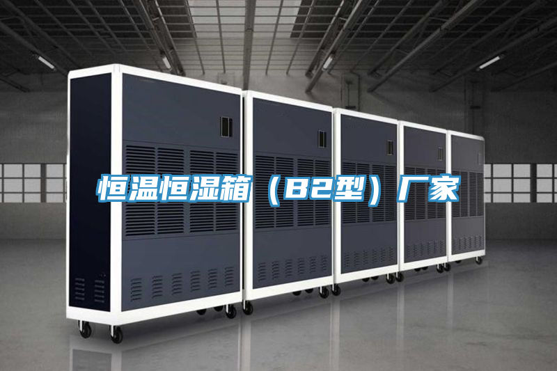 恒温恒湿箱（B2型）厂家