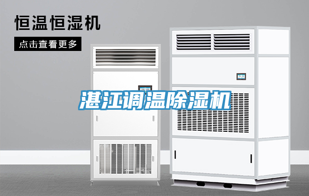 湛江调温除湿机
