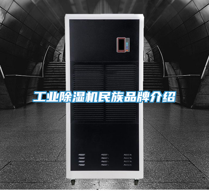 工业除湿机民族品牌介绍