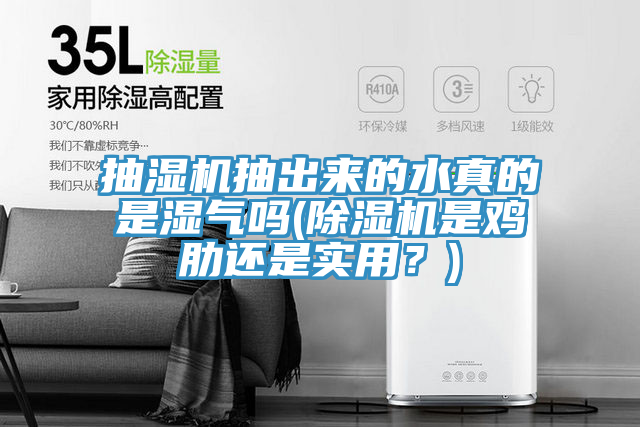 抽湿机抽出来的水真的是湿气吗(除湿机是鸡肋还是实用？)