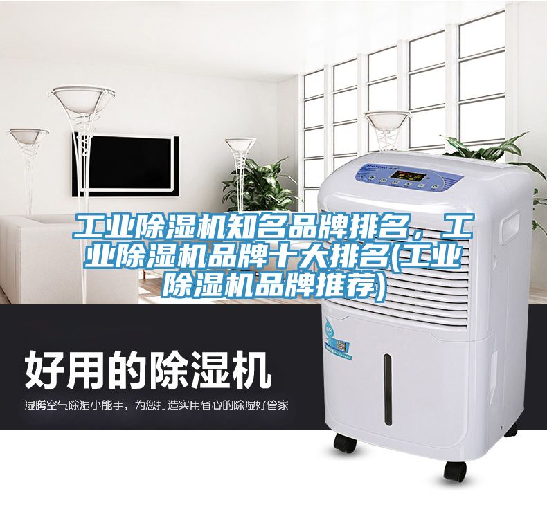 工业除湿机知名品牌排名，工业除湿机品牌十大排名(工业除湿机品牌推荐)