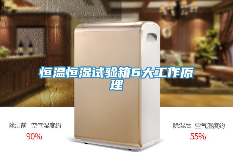 恒温恒湿试验箱6大工作原理