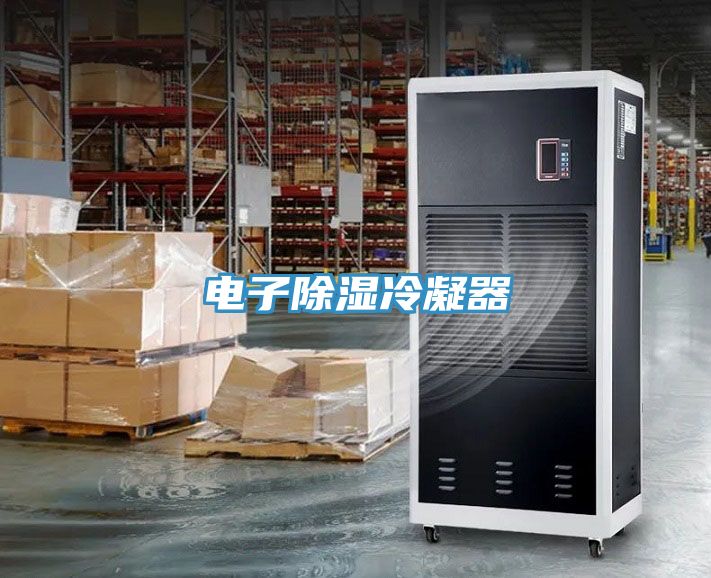 电子除湿冷凝器