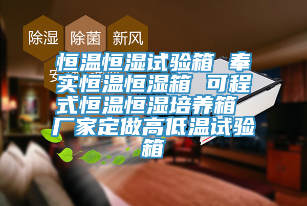 恒温恒湿试验箱 奉实恒温恒湿箱 可程式恒温恒湿培养箱 厂家定做高低温试验箱