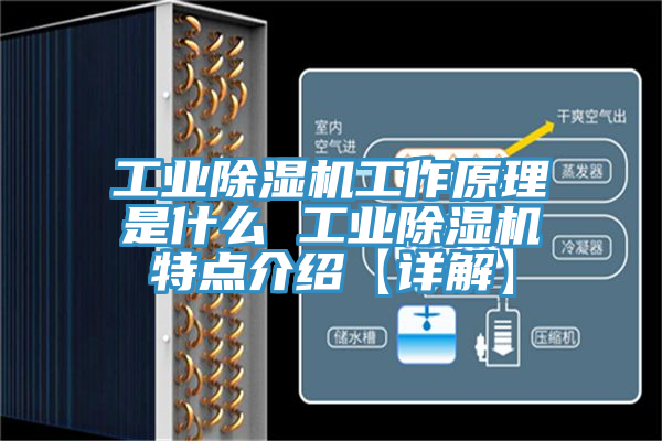 工业除湿机工作原理是什么 工业除湿机特点介绍【详解】