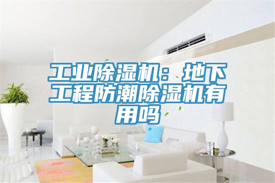 工业除湿机：地下工程防潮除湿机有用吗