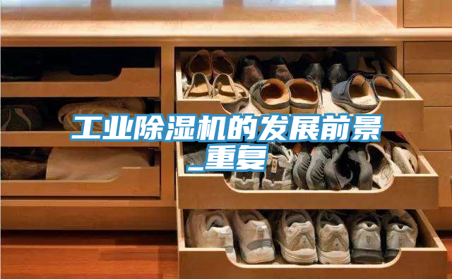 工业除湿机的发展前景_重复