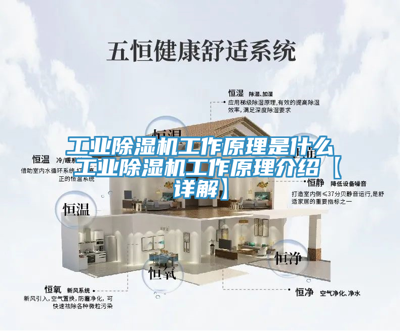 工业除湿机工作原理是什么 工业除湿机工作原理介绍【详解】