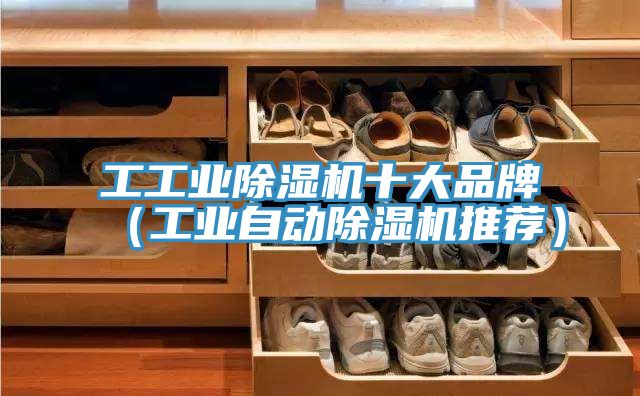 工工业除湿机十大品牌（工业自动除湿机推荐）