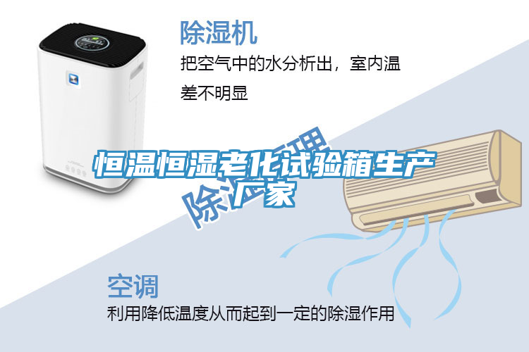 恒温恒湿老化试验箱生产厂家