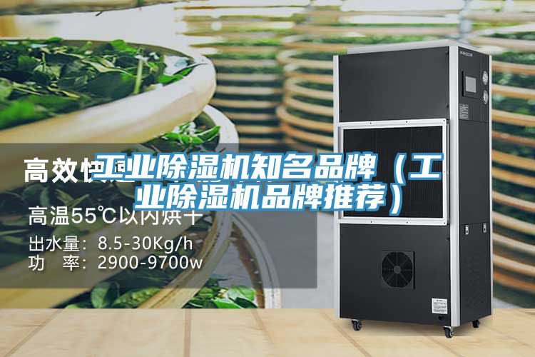 工业除湿机知名品牌（工业除湿机品牌推荐）