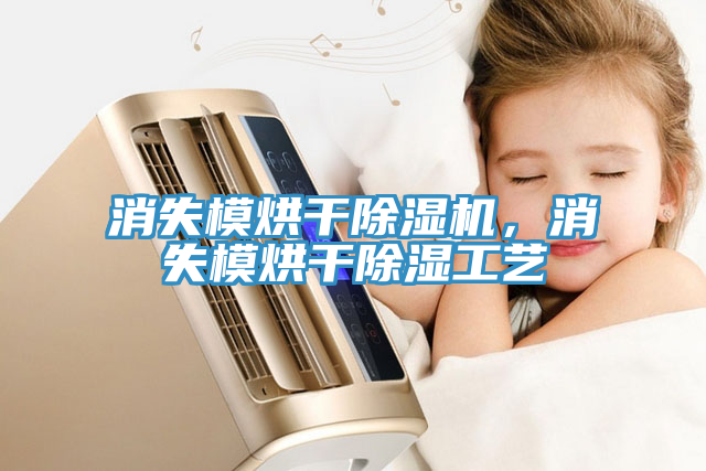 消失模烘干除湿机，消失模烘干除湿工艺