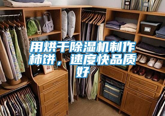 用烘干除湿机制作柿饼，速度快品质好