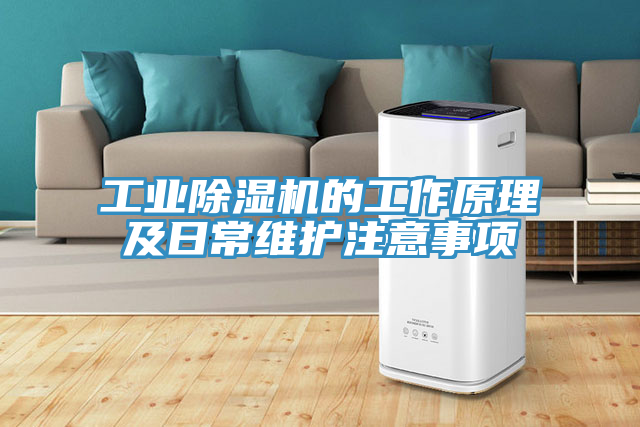 工业除湿机的工作原理及日常维护注意事项