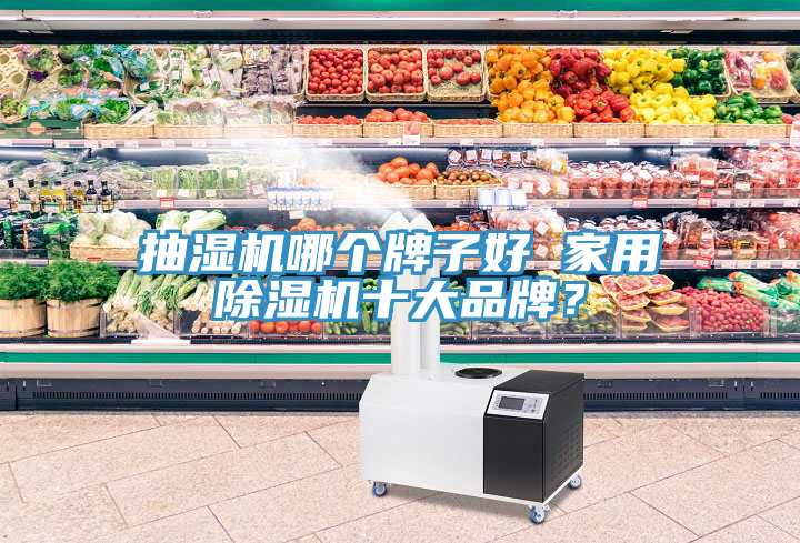 抽湿机哪个牌子好 家用除湿机十大品牌？