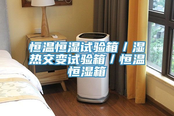 恒温恒湿试验箱／湿热交变试验箱／恒温恒湿箱