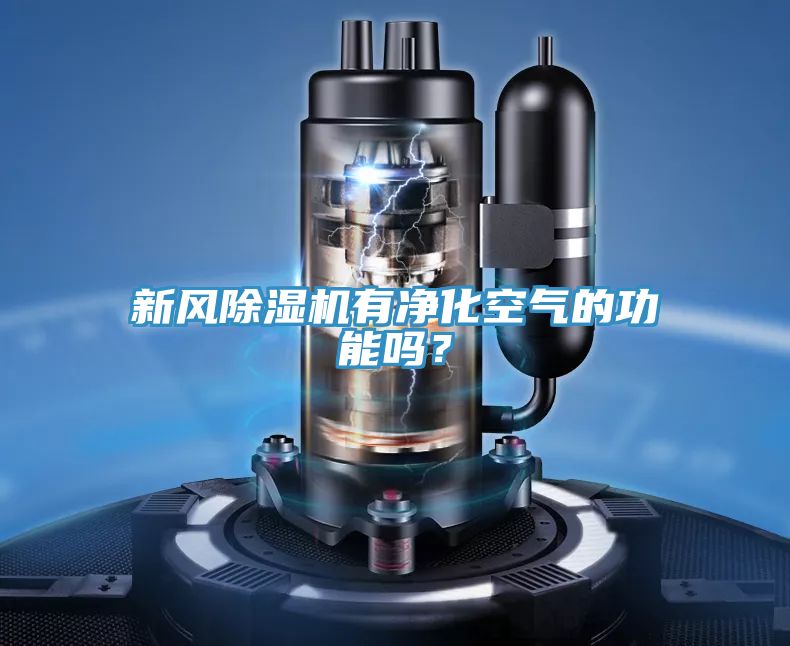 新风除湿机有净化空气的功能吗？