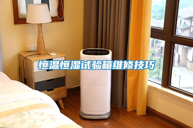 恒温恒湿试验箱维修技巧