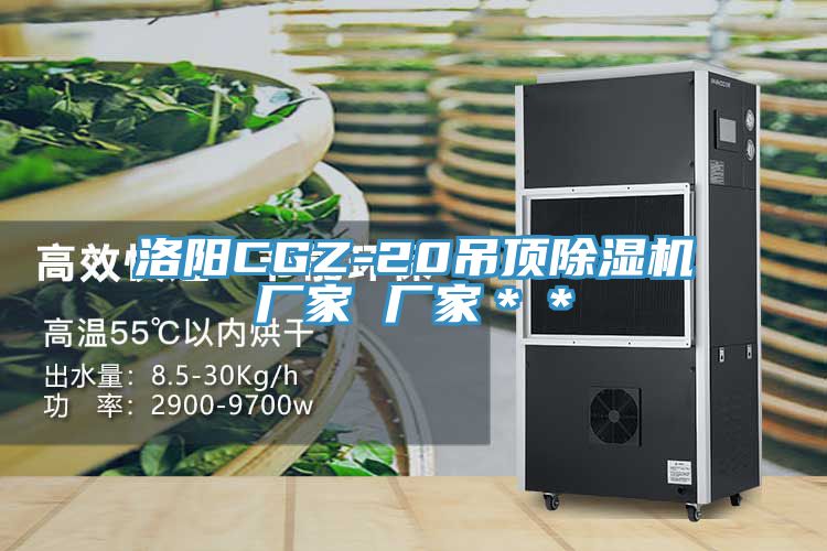 洛阳CGZ-20吊顶除湿机厂家 厂家＊＊