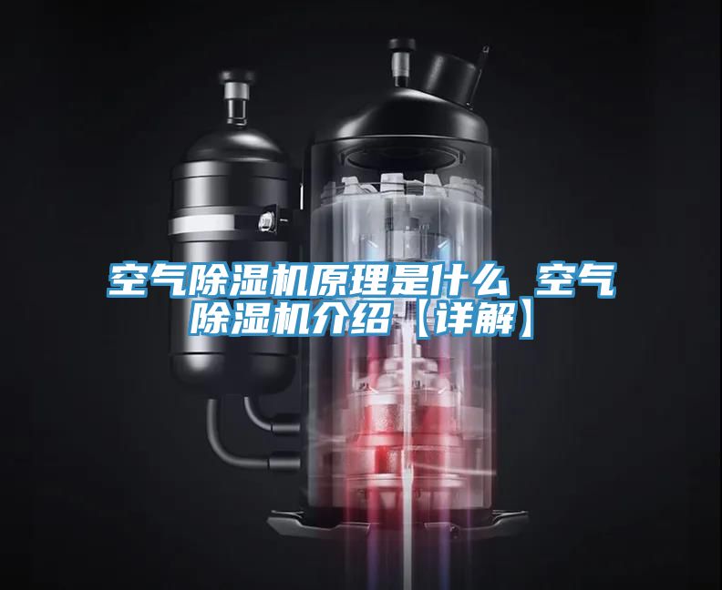 空气除湿机原理是什么 空气除湿机介绍【详解】