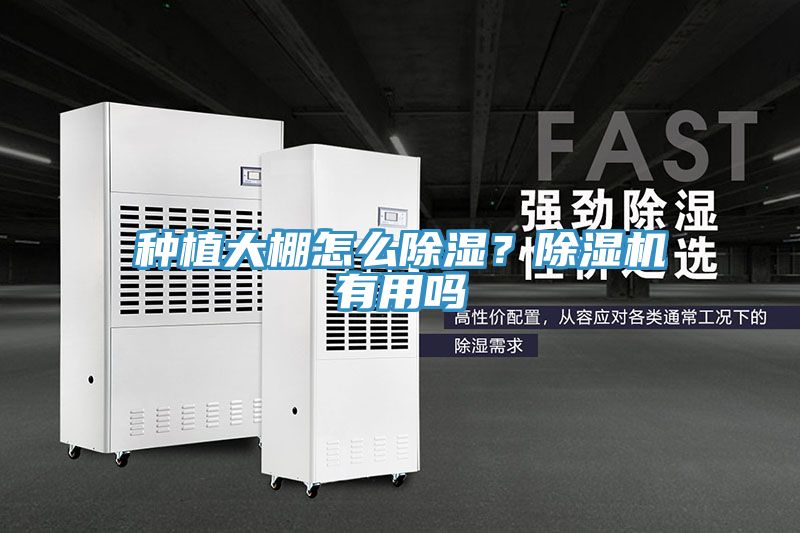 种植大棚怎么除湿？除湿机有用吗