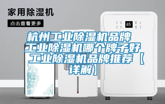 杭州工业除湿机品牌 工业除湿机哪个牌子好 工业除湿机品牌推荐【详解】