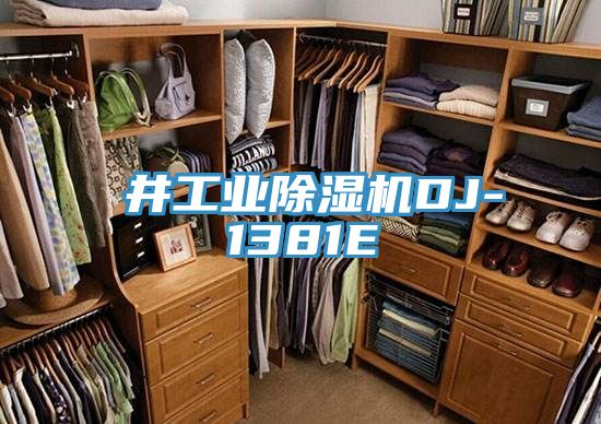東井工业除湿机DJ-1381E