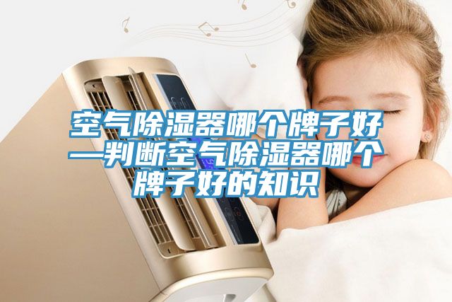 空气除湿器哪个牌子好—判断空气除湿器哪个牌子好的知识
