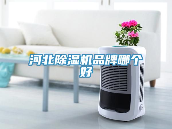 河北除湿机品牌哪个好