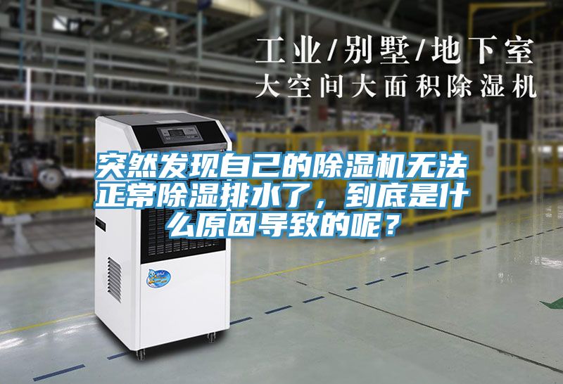 突然发现自己的除湿机无法正常除湿排水了，到底是什么原因导致的呢？
