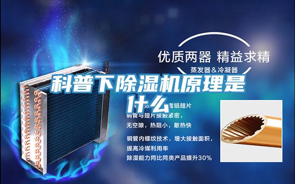 科普下除湿机原理是什么