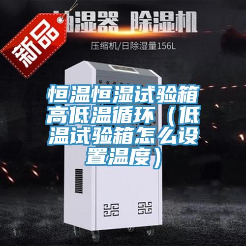 恒温恒湿试验箱高低温循环（低温试验箱怎么设置温度）