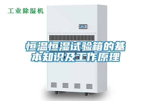 恒温恒湿试验箱的基本知识及工作原理