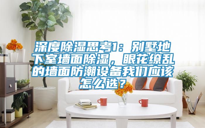 深度除湿思考1：别墅地下室墙面除湿，眼花缭乱的墙面防潮设备我们应该怎么选？