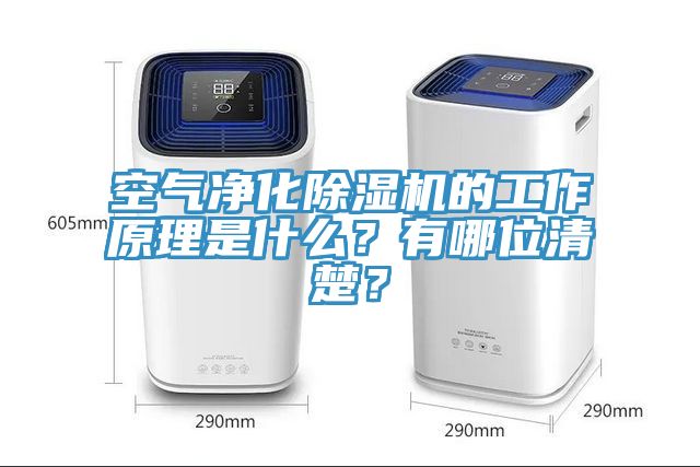 空气净化除湿机的工作原理是什么？有哪位清楚？