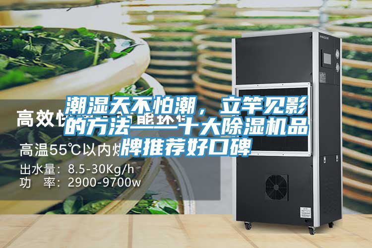 潮湿天不怕潮,立竿见影的方法——十大除湿机品牌推荐好口碑