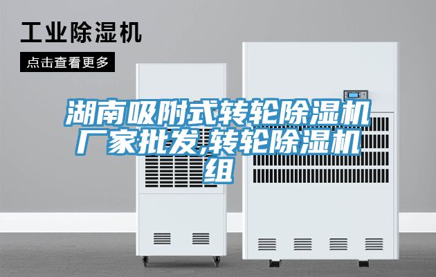 湖南吸附式转轮除湿机厂家批发,转轮除湿机组