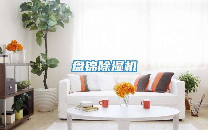 盘锦除湿机
