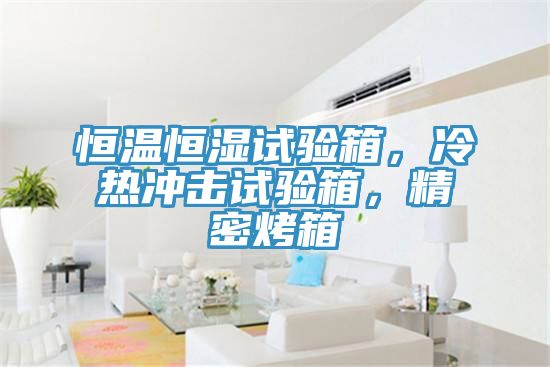 恒温恒湿试验箱，冷热冲击试验箱，精密烤箱