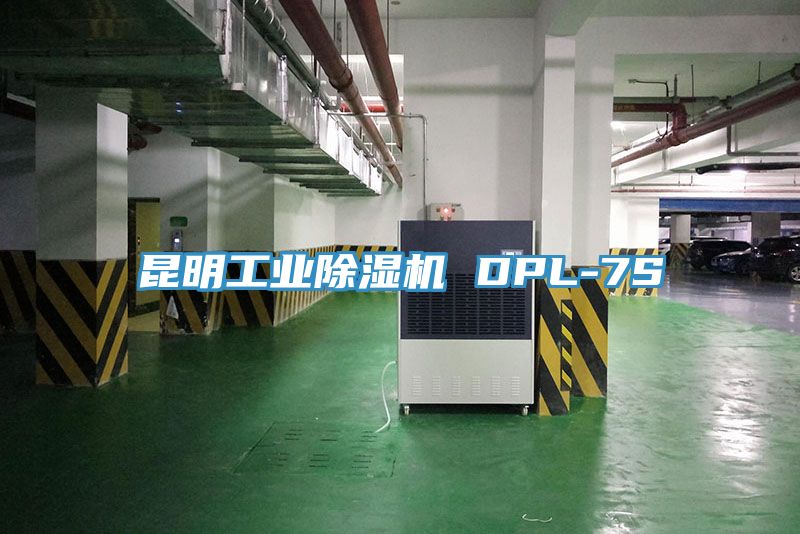 昆明工业除湿机 DPL-7S